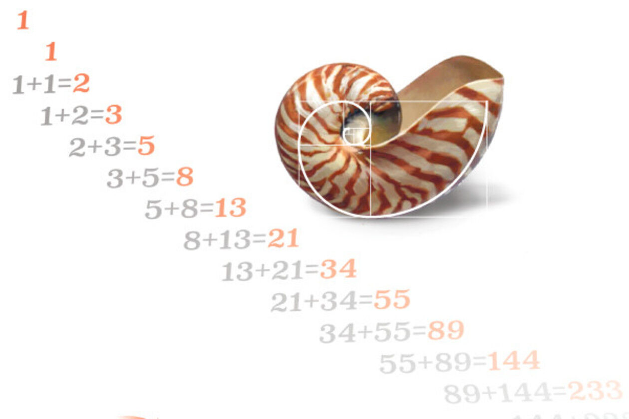 Fibonacci-1