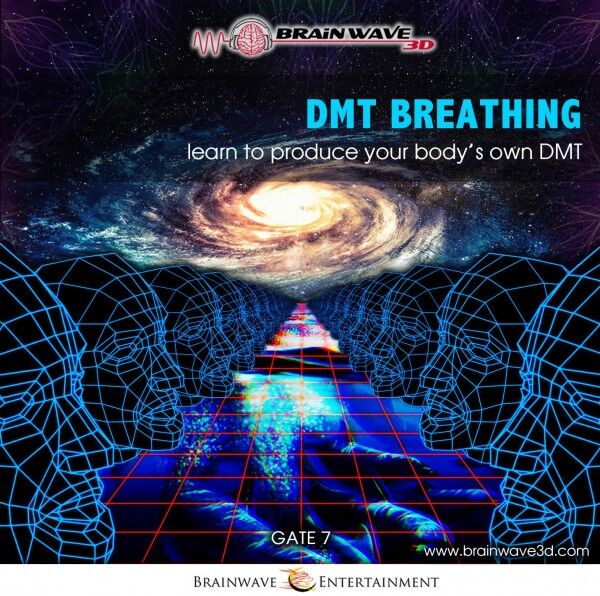 DMT Breathing - DMT Trip selber auslösen - Gate 7